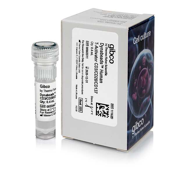 Dynabeads&trade; Human T-Activator CD3/CD28/CD137