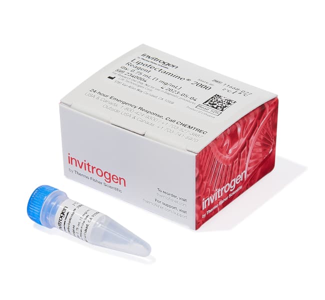 Lipofectamine&trade; 2000 转染试剂