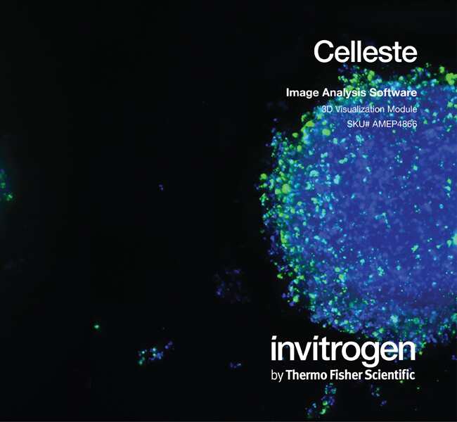 Celleste&trade; 3D 可视化模块，单用户许可证