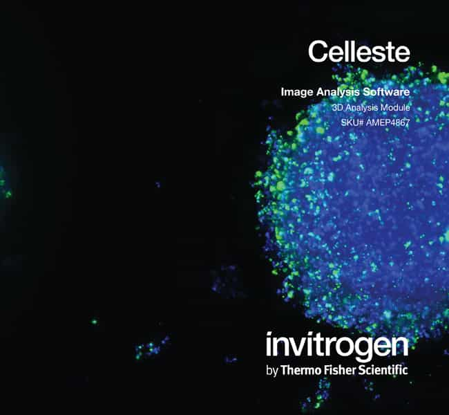 Celleste&trade; 3D 分析模块，单用户许可证