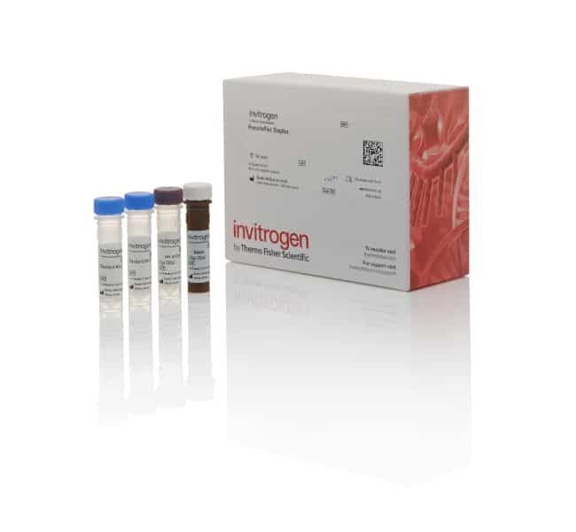 Perforin Human ProcartaPlex&trade; Simplex Kit