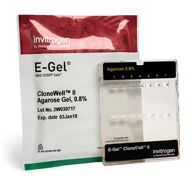 E-Gel&trade; CloneWell&trade; II 琼脂糖凝胶（含 SYBR Safe），0.8%