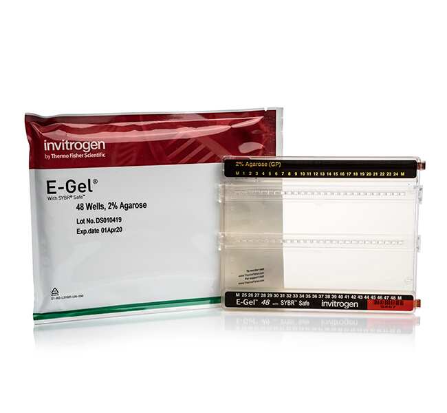 E-Gel&trade; 48 琼脂糖凝胶，内含 SYBR&trade; Safe DNA 凝胶染色剂，4%