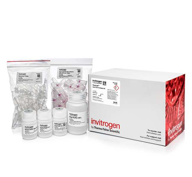 PureLink&trade; PCR 纯化试剂盒