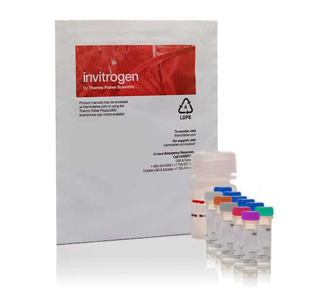 PiPer&trade; Pyrophosphate or Phosphate Assay Kit