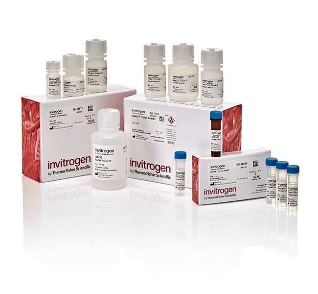 ViewRNA&trade; ISH Cell Assay Kit