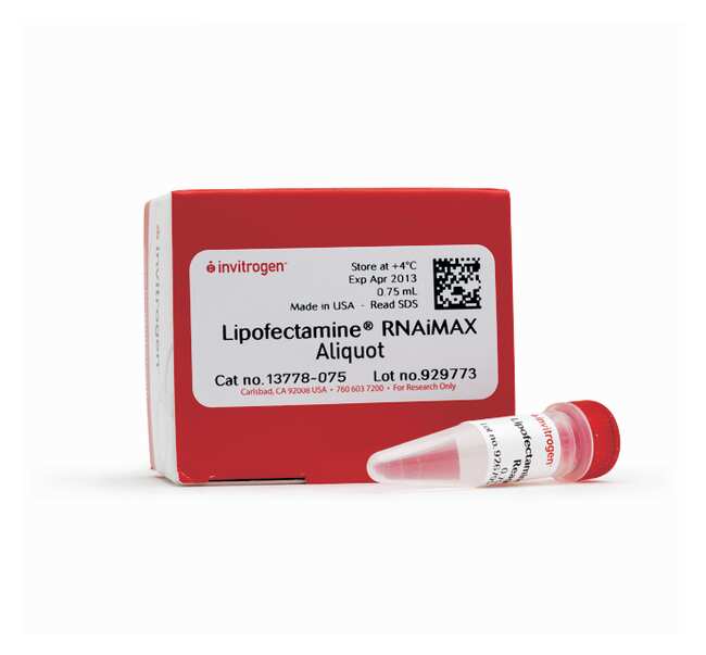 Lipofectamine&trade; RNAiMAX 转染试剂