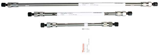 GlycanPac&trade; AXH-1 HPLC 色谱柱