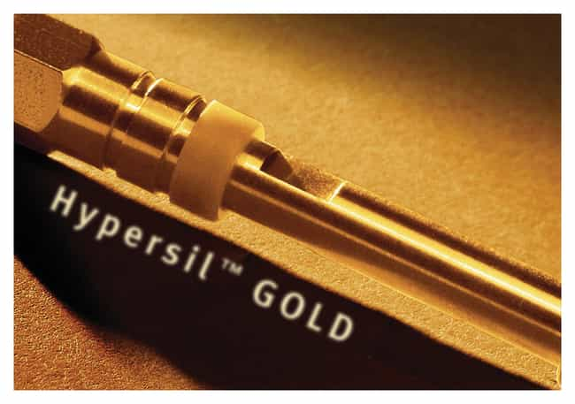 Hypersil GOLD&trade; C18 选择性 HPLC 色谱柱