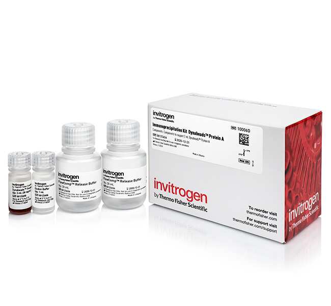 Dynabeads&trade; Protein A Immunoprecipitation Kit