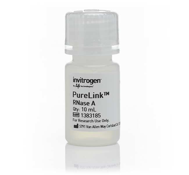 PureLink&trade; RNase A (20 mg/mL)