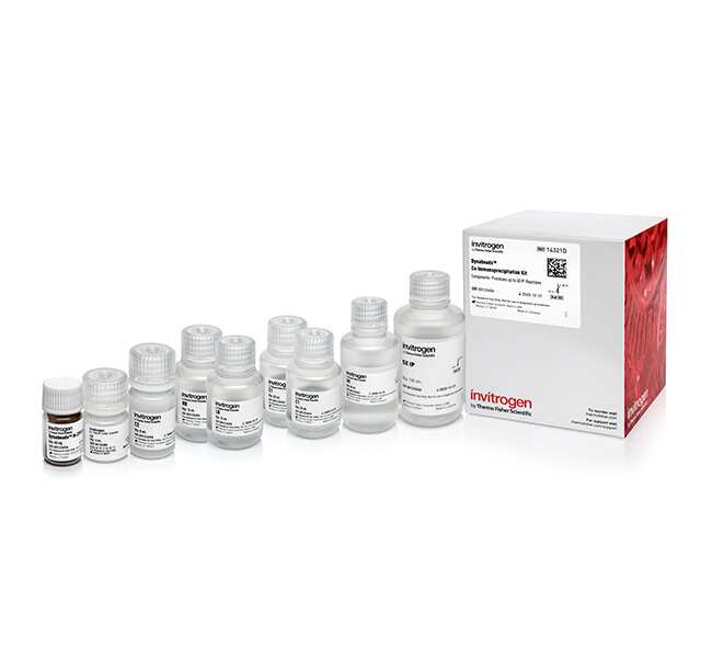 Dynabeads&trade; Co-Immunoprecipitation Kit