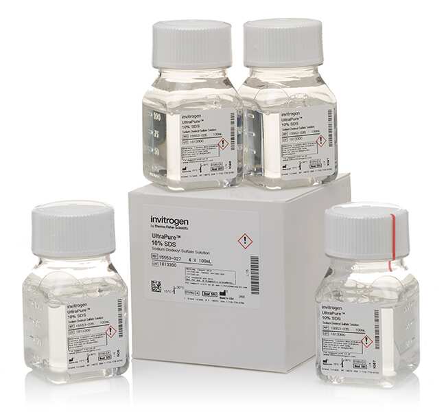 UltraPure&trade; SDS 溶液，10%