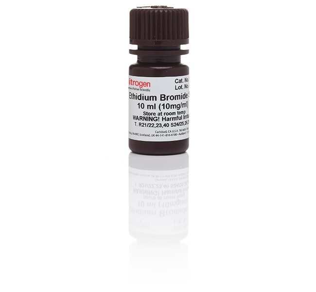 UltraPure&trade; 溴化乙锭，10 mg/mL