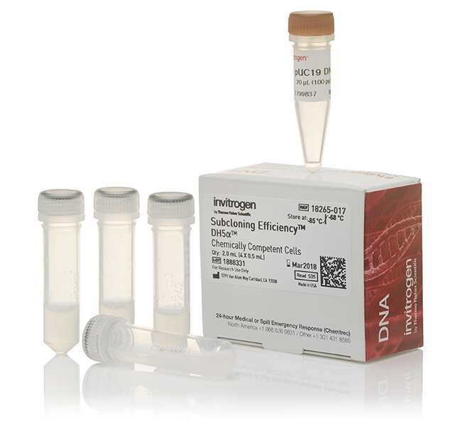 Subcloning Efficiency&trade; DH5&alpha; 感受态细胞