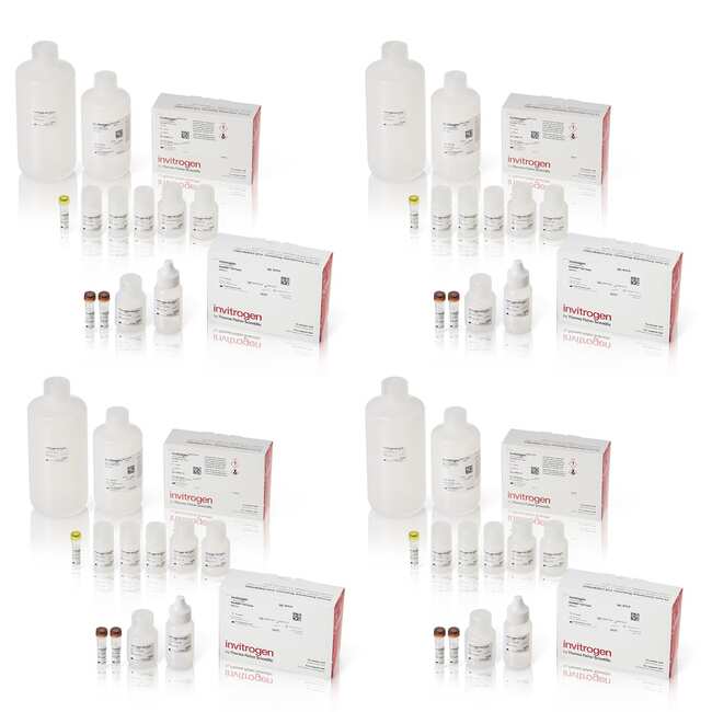 ViewRNA&trade; Colorimetric Tissue 1-Plex Kits