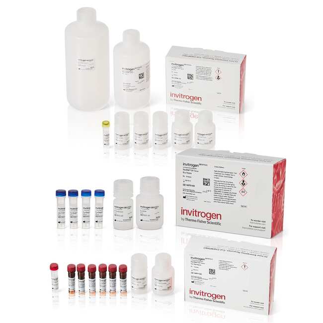 ViewRNA&trade; Colorimetric Tissue 2-Plex Kits