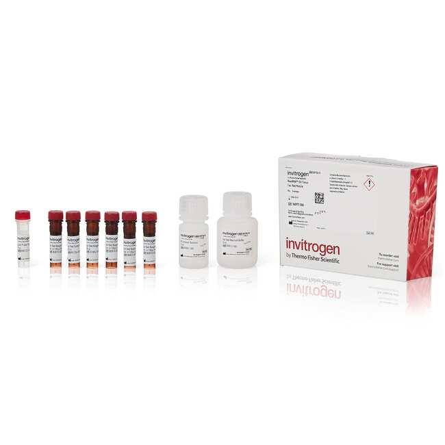 ViewRNA&trade; Colorimetric Tissue Core Kit and Individual Modules