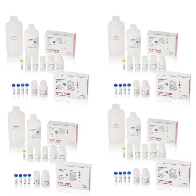 ViewRNA&trade; Colorimetric Tissue 1-Plex Kits