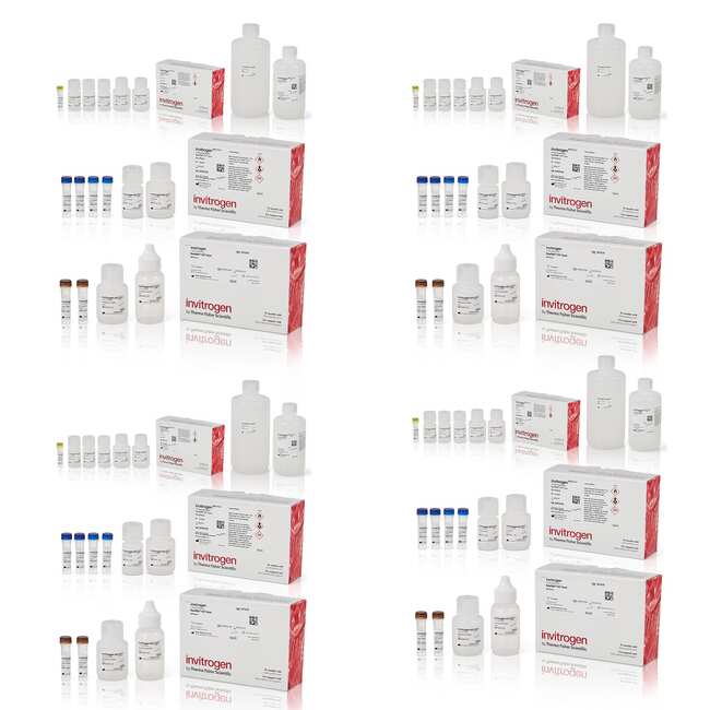 ViewRNA&trade; Colorimetric Tissue 2-Plex Kits