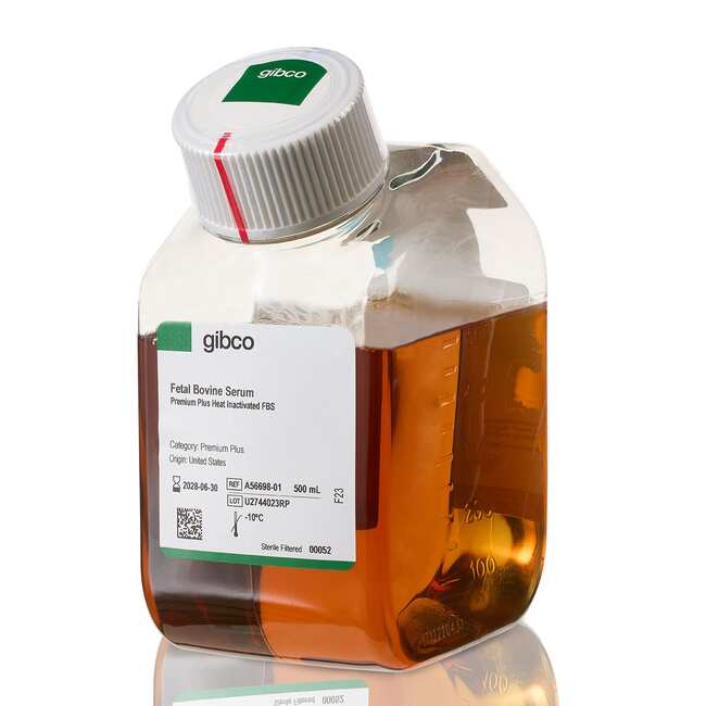 Fetal Bovine Serum, Premium Plus, heat inactivated