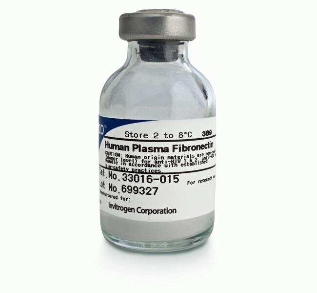 Fibronectin Human Protein, Plasma