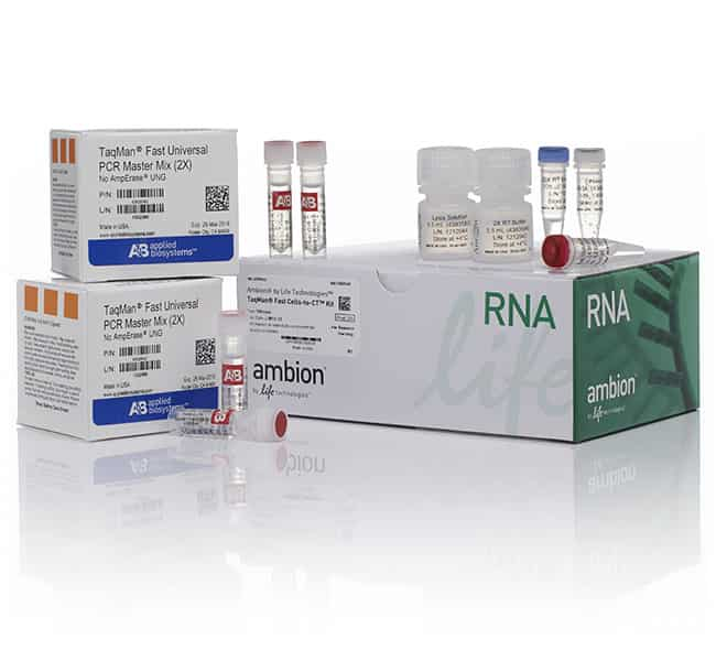 TaqMan&trade; Fast Cells-to-C<sub>T</sub>&trade; 试剂盒