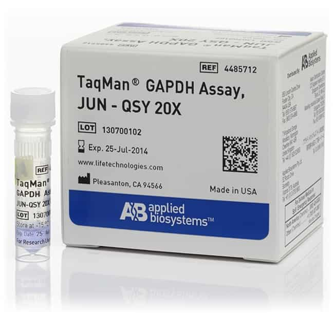 TaqMan&trade; GAPDH 检测试剂，JUN&trade; 染料/QSY&trade; 探针