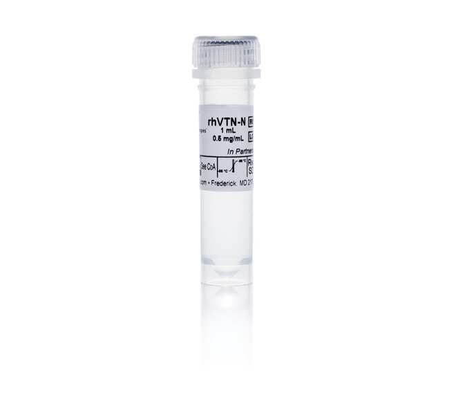 Vitronectin (VTN-N) Recombinant Human Protein, Truncated