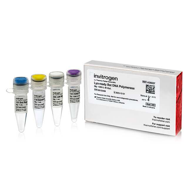 Lyo-ready Bst DNA Polymerase