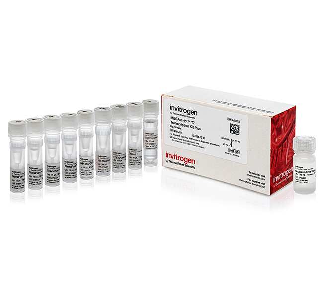 MegaScript&trade; T7 Transcription Kit Plus