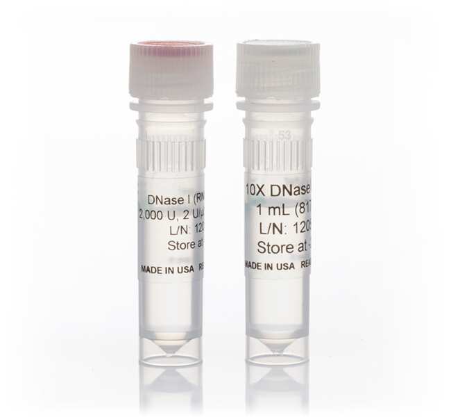 Ambion&trade; DNase I（无 RNase）