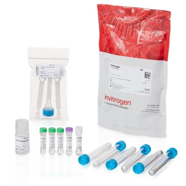 LysoLight&trade; Antibody Labeling Kits