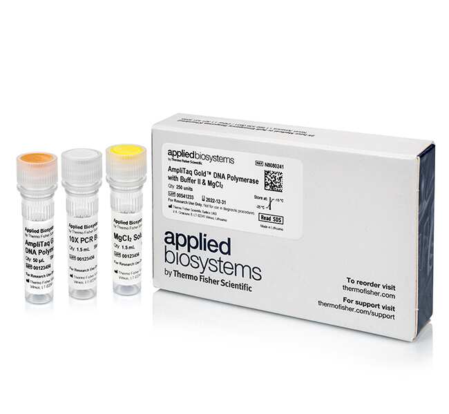 AmpliTaq Gold&trade; DNA 聚合酶，含缓冲液 II 和 MgCl<sub>2</sub>