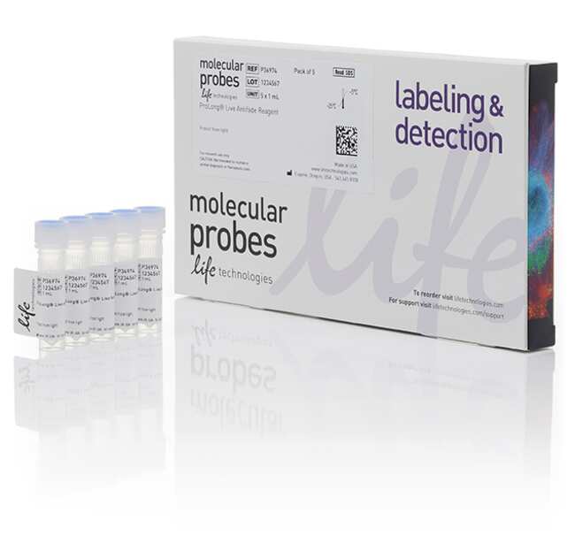 ProLong&trade; Live Antifade Reagent, for live cell imaging