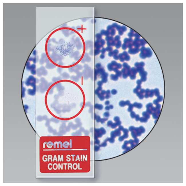 Remel&trade; QC-Slide&trade; 革兰氏染色质控片