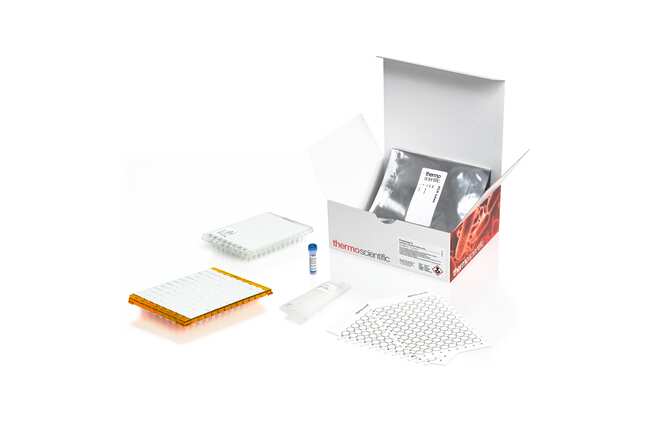 SureTect&trade; Salmonella Infantis PCR Assay