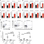 CD4 Antibody in Flow Cytometry (Flow)