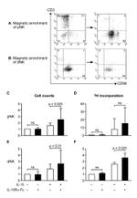 CD56 Antibody in Flow Cytometry (Flow)