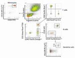 CD45 Antibody in Flow Cytometry (Flow)