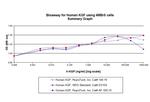 Human FGF-7 (KGF) Protein in Functional Assay (Functional)