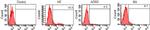 HLA-DQ Antibody in Flow Cytometry (Flow)