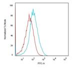 Ksp-Cadherin (Kidney-Specific Cadherin)/CDH16 Antibody in Flow Cytometry (Flow)