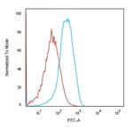 Ksp-Cadherin (Kidney-Specific Cadherin)/CDH16 Antibody in Flow Cytometry (Flow)