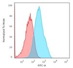 Cadherin 17/LI Cadherin (Liver-Intestine Marker) Antibody in Flow Cytometry (Flow)