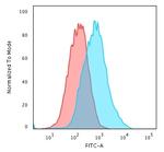 p27Kip1 (Mitotic Inhibitor/Suppressor Protein) Antibody in Flow Cytometry (Flow)