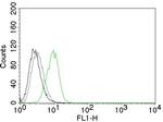 p27Kip1 (Mitotic Inhibitor/Suppressor Protein) Antibody in Flow Cytometry (Flow)