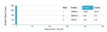 SMNDC1 Antibody in Peptide array (ARRAY)