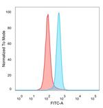 BRAF35/HMG20B Antibody in Flow Cytometry (Flow)