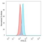 DRAP1/NC2 alpha Antibody in Flow Cytometry (Flow)